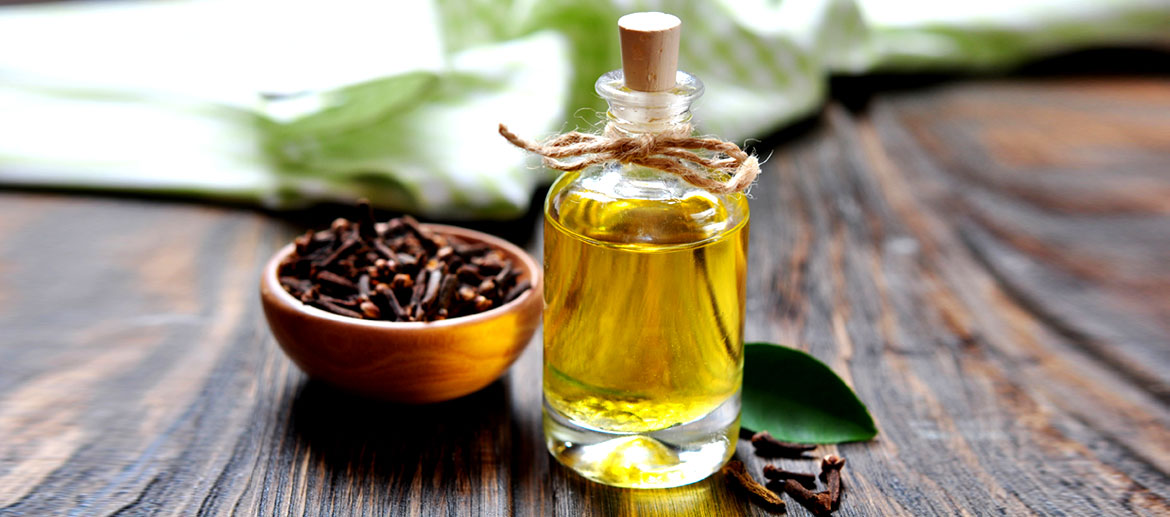 Clove Bud Essential Oil , Manufacturer, Suppliers, Exporters.Uses and