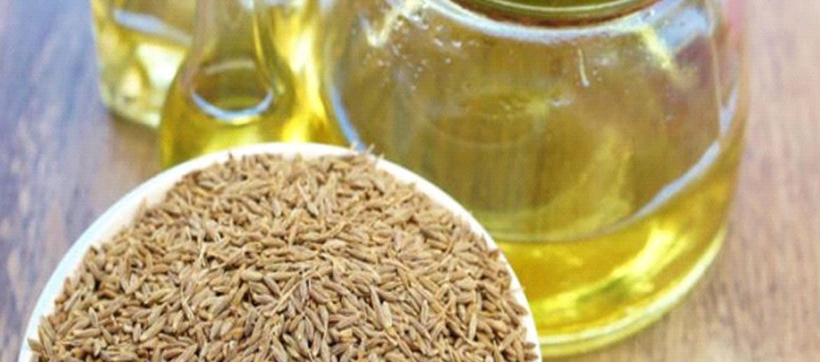 Caraway Essential Oil Supplier , Manufacturer in India, Use Benefits