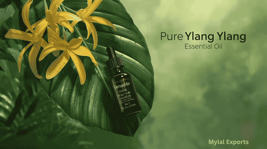 Ylang Ylang Oil